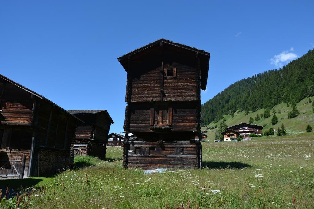 Hotel Restaurant Walliser Sonne Reckingen Екстериор снимка