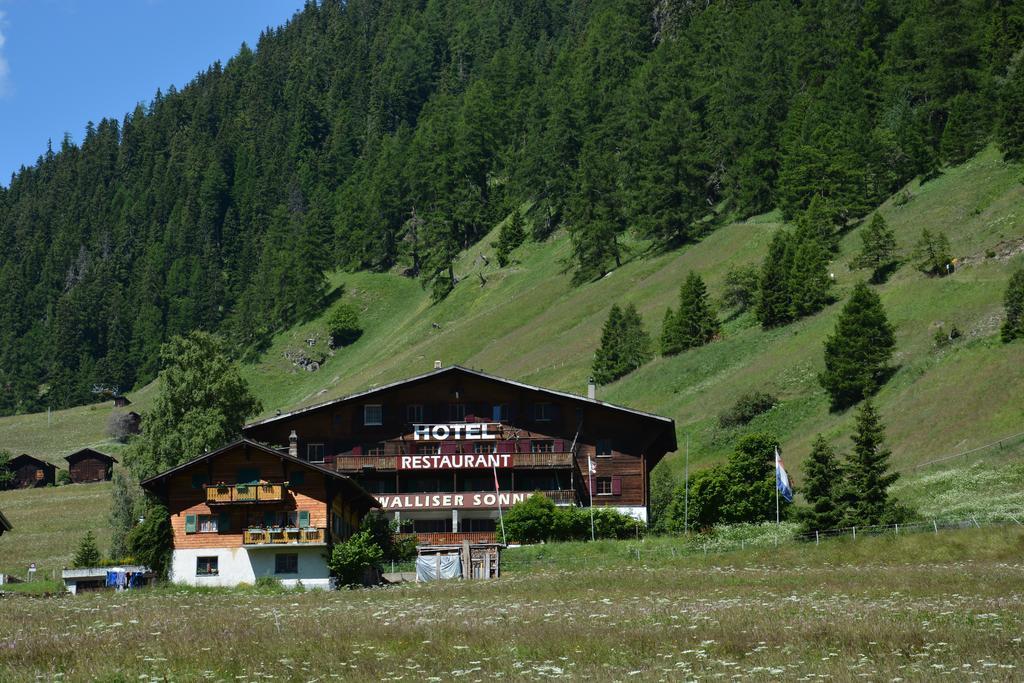 Hotel Restaurant Walliser Sonne Reckingen Екстериор снимка