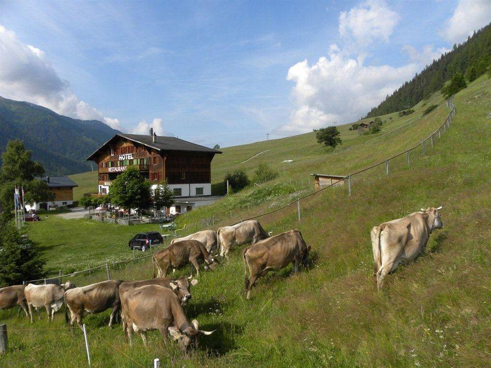 Hotel Restaurant Walliser Sonne Reckingen Екстериор снимка