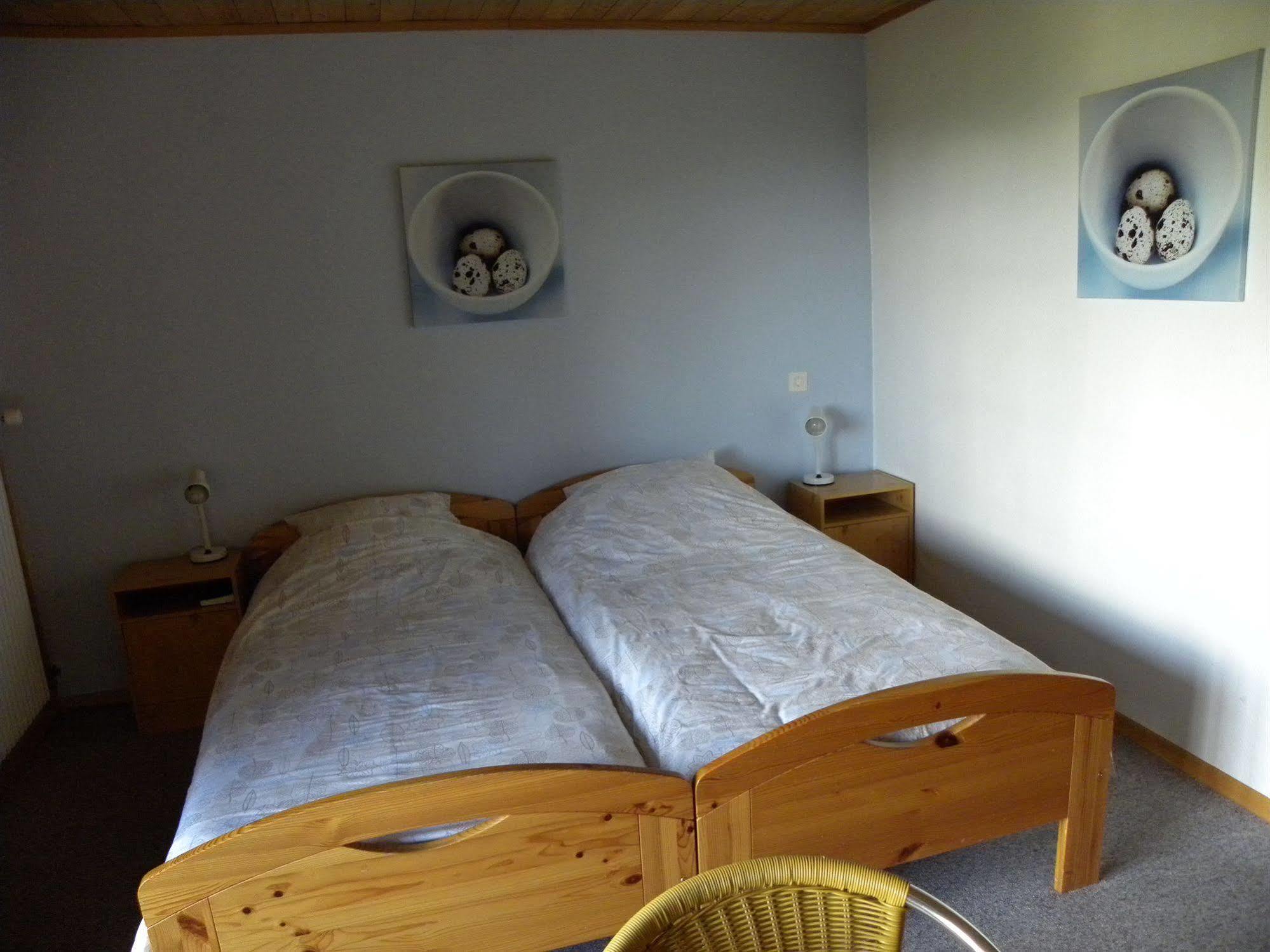 Hotel Restaurant Walliser Sonne Reckingen Екстериор снимка
